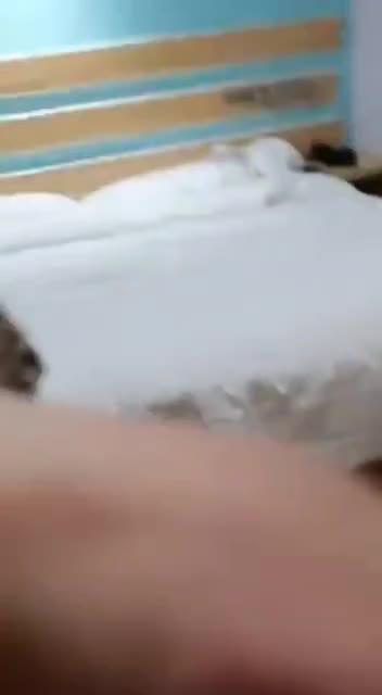 video_poster