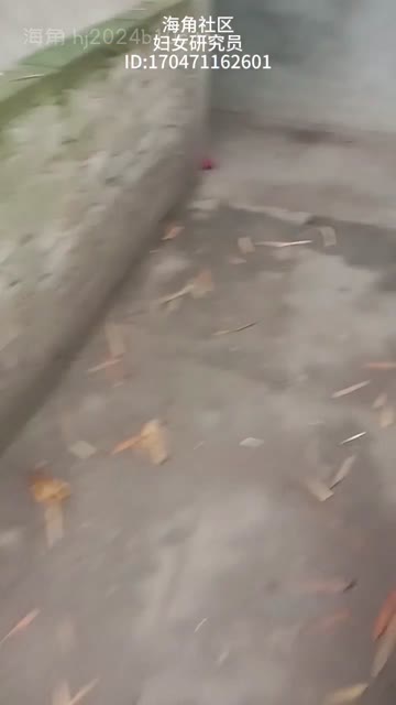 video_poster