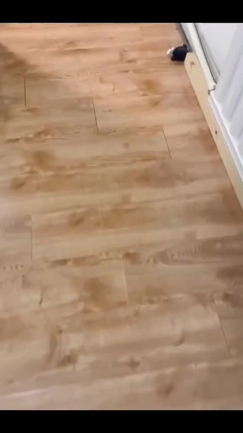video_poster