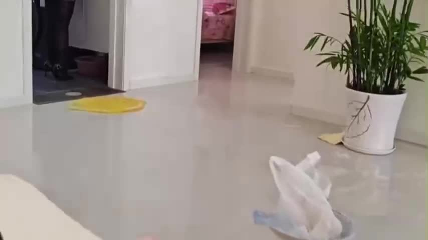video_poster