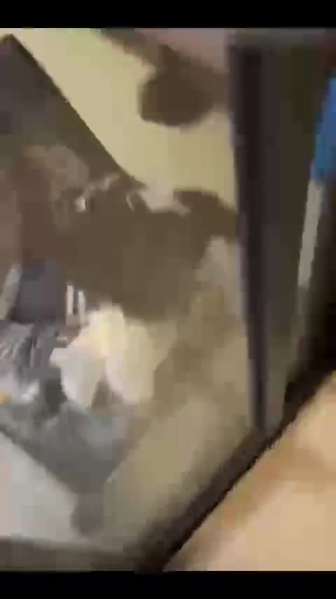 video_poster