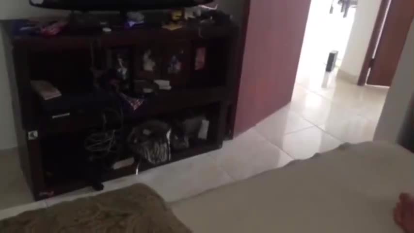 video_poster